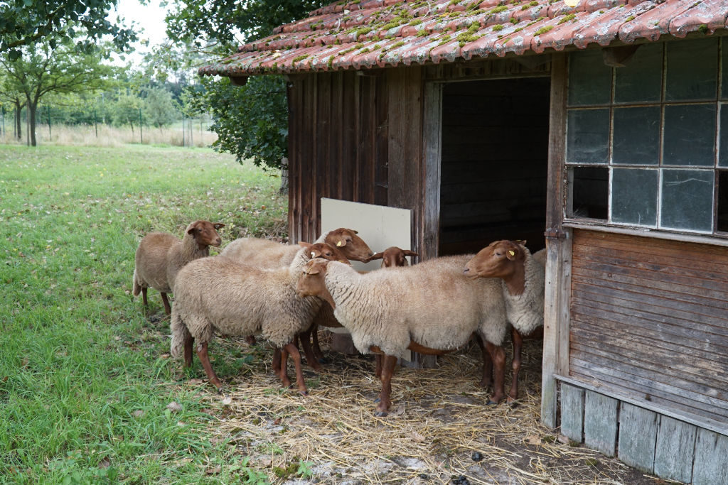 Name Gesucht Tierischer Nachwuchs Im Botanischen Garten