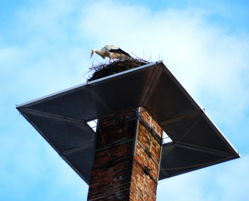 Der Storch in seinem Horst neben der Sudpfanne