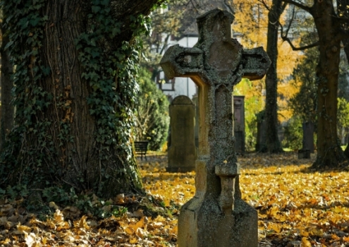 Es kam zu Vandalismus auf einem Friedhof im Landkreis Bayreuth. Symbolbild: Pixabay