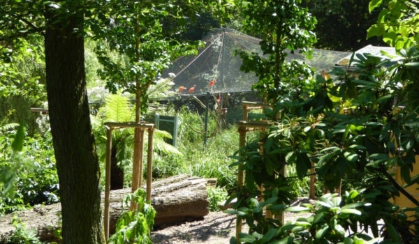 Der Tierpark Röhrensee in Bayreuth wurde erneut ausgezeichnet. Foto: Stadtgartenamt