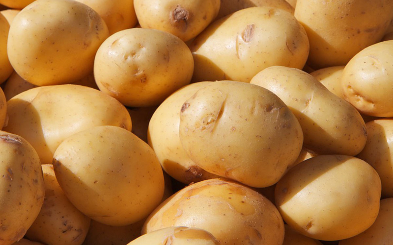 bestimmte Kartoffeln sind von aktuellen Rückrufaktionen und Warnungen betroffen Symbolfoto: Pixabay