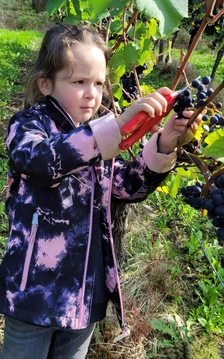 Die Tochter von Marc Josten hilft schon fleißig in den Weinbergen mit. ©Weingut Marc Josten