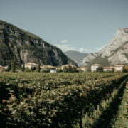 Hier im Trentino ist die Heimat vom Weingut Foradori. @Agricola Foradori/Daniele Fiorentino