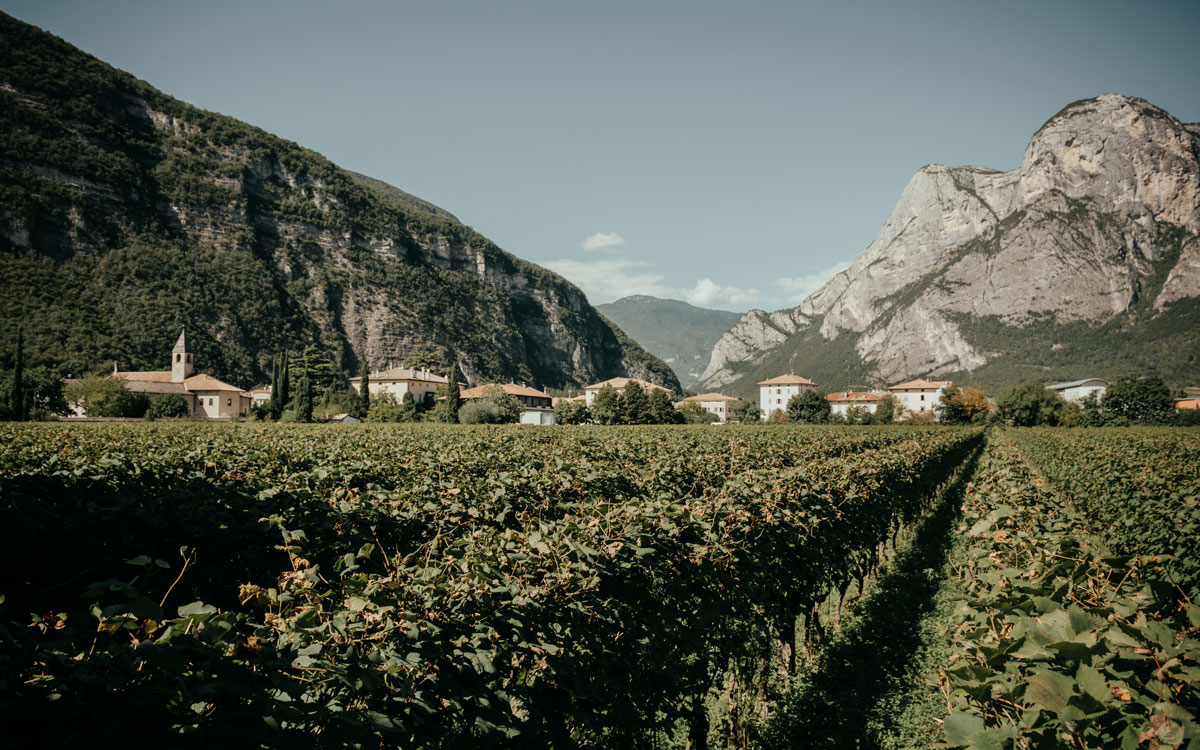 Hier im Trentino ist die Heimat vom Weingut Foradori. @Agricola Foradori/Daniele Fiorentino