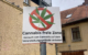 Cannabisfreie Zone zum Bürgerfest und Altstadtfest, Michael Christensen