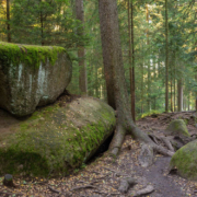 300 Millionen Jahre alt sind die Granitfelsbildungen im Felsenlabyrinth. Symbolbild: Pixabay