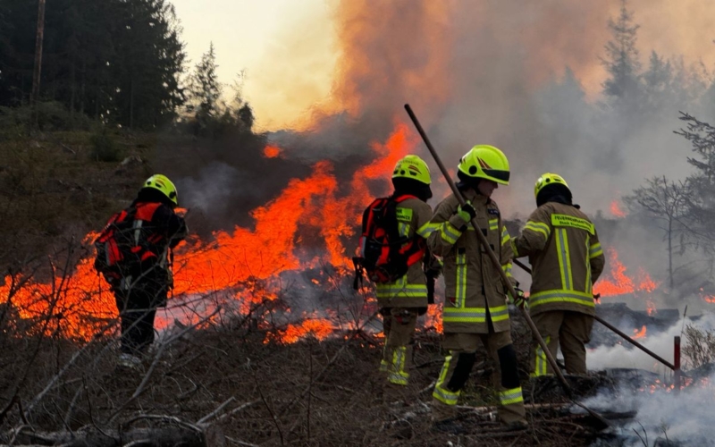 Waldbrand bei Schwarzenbach am Wald ©News5/Stephan Fricke