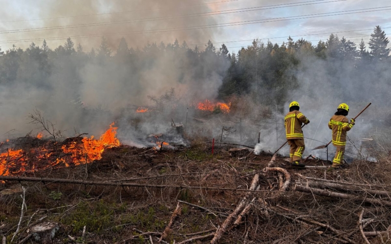 Waldbrand bei Schwarzenbach am Wald ©News5/Stephan Fricke