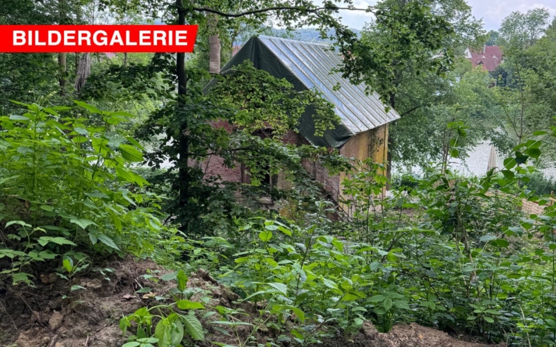 Der Thurnauer Schlosspark wird saniert. Das ist das Eishaus von hinten. ©bt-Redaktion