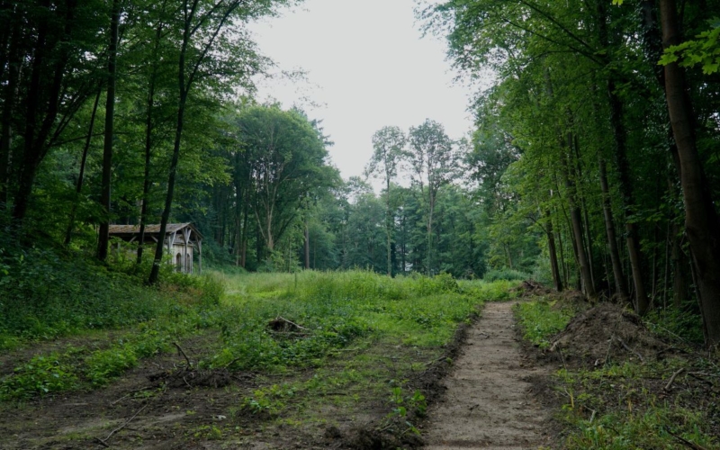 Schlosspark Thurnau - Lichtung und Teehaus ©Michael Christensen