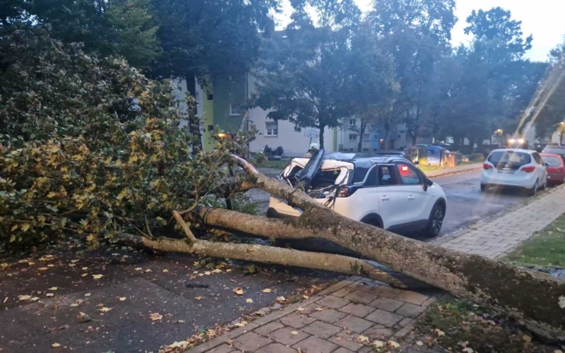 Sturmschaden in Bamberg ©News5/Fabian Merzbach